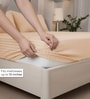 Biscotti Bliss Stripe 300 TC Pure Cotton King Fitted Bedsheet with 2 Pillow Covers