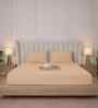 Biscotti Bliss Stripe 300 TC Pure Cotton King Fitted Bedsheet with 2 Pillow Covers