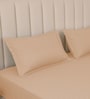 Biscotti Bliss Stripe 300 TC Pure Cotton King Fitted Bedsheet with 2 Pillow Covers