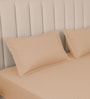 Biscotti Bliss Stripe 300 TC Pure Cotton King Fitted Bedsheet with 2 Pillow Covers