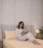 Biscotti Bliss Stripe 300 TC Pure Cotton King Fitted Bedsheet with 2 Pillow Covers
