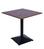 Bistro Square Outdoor Coffee Table In Walnut  & Black Colour