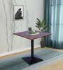 Bistro Square Outdoor Coffee Table In Walnut  & Black Colour