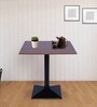 Bistro Square Outdoor Coffee Table In Walnut  & Black Colour