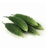 Bitter Gourd/ Karela / Bitter Melon Gardening Pack of 20 Seeds