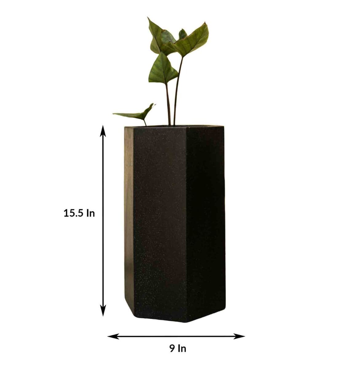 Buy Black Concrete Broody Small Floor Planter By Curiocasa Online