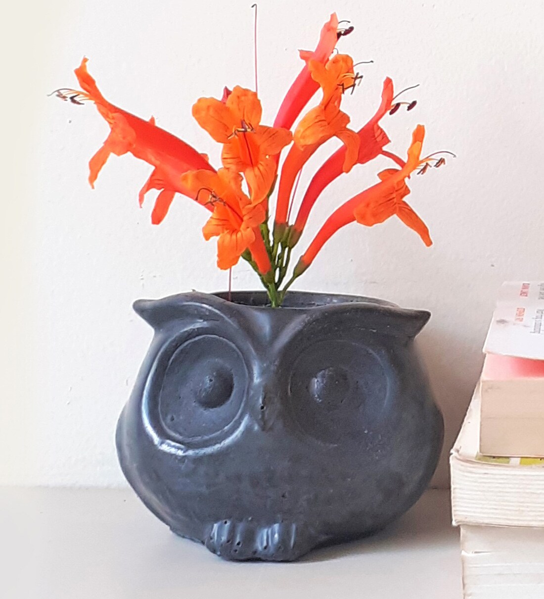 Buy Black Concrete Bubo The Owl Handcrafted Planter By Elemental By Nanya Online Desk Pots Pots Planters Home Decor Pepperfry Product