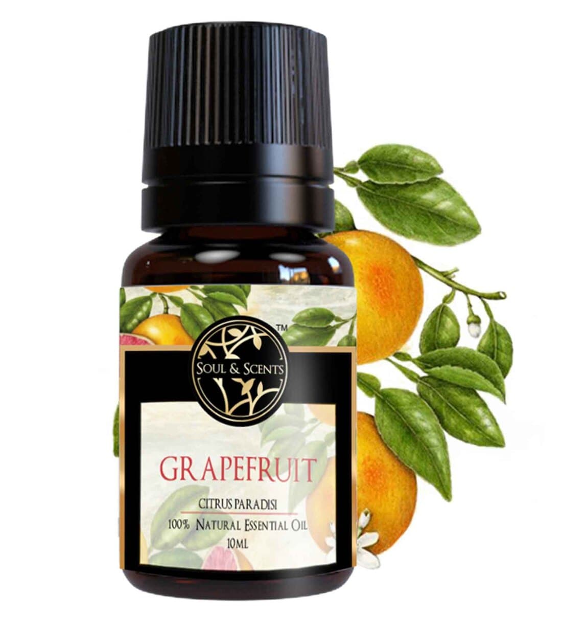 Buy Grapefruit Essential Oil at 15 OFF by Soul & Scents Pepperfry