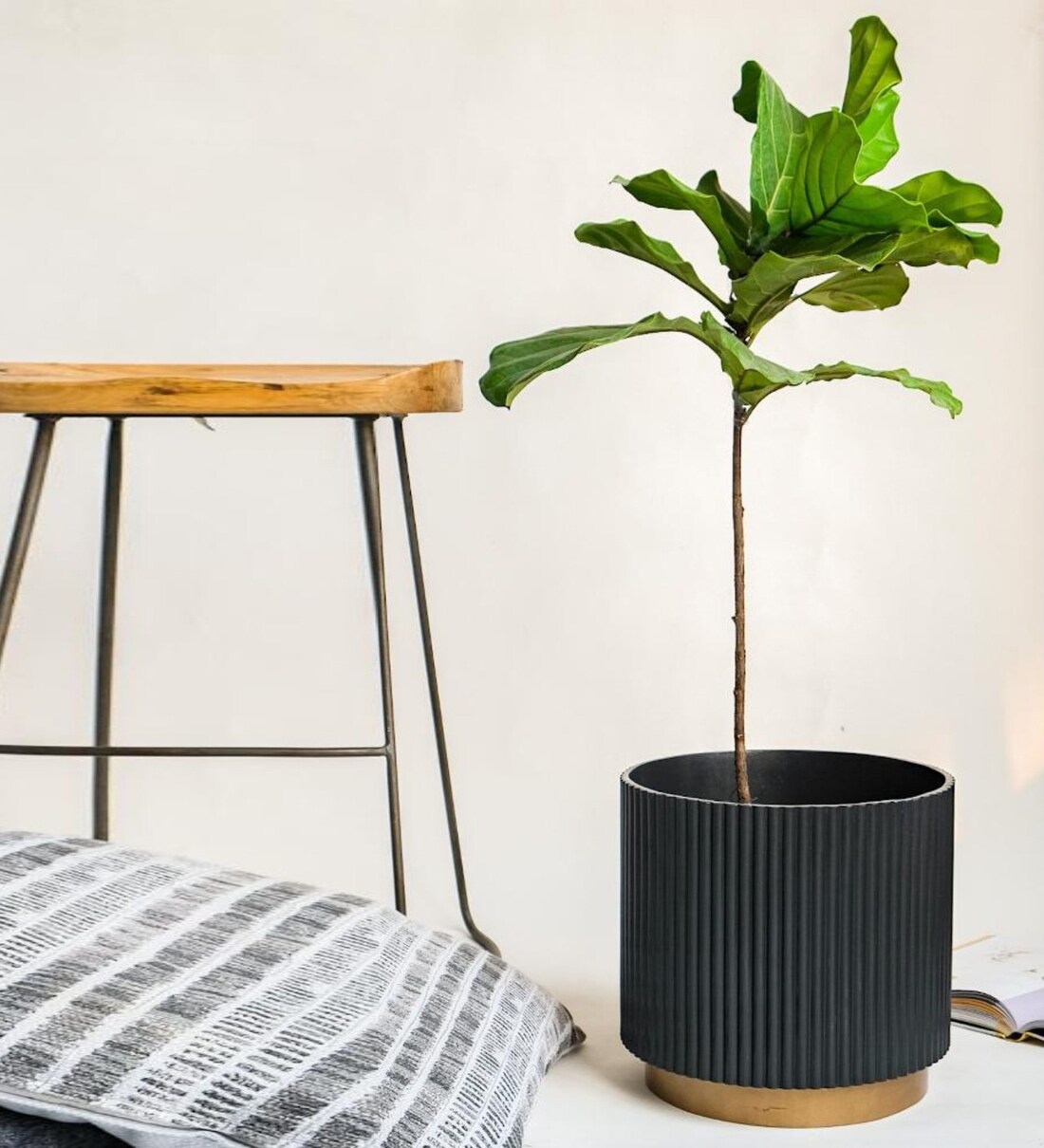 Buy Black Large Midori Planter With Base By Ripples Home Online Big