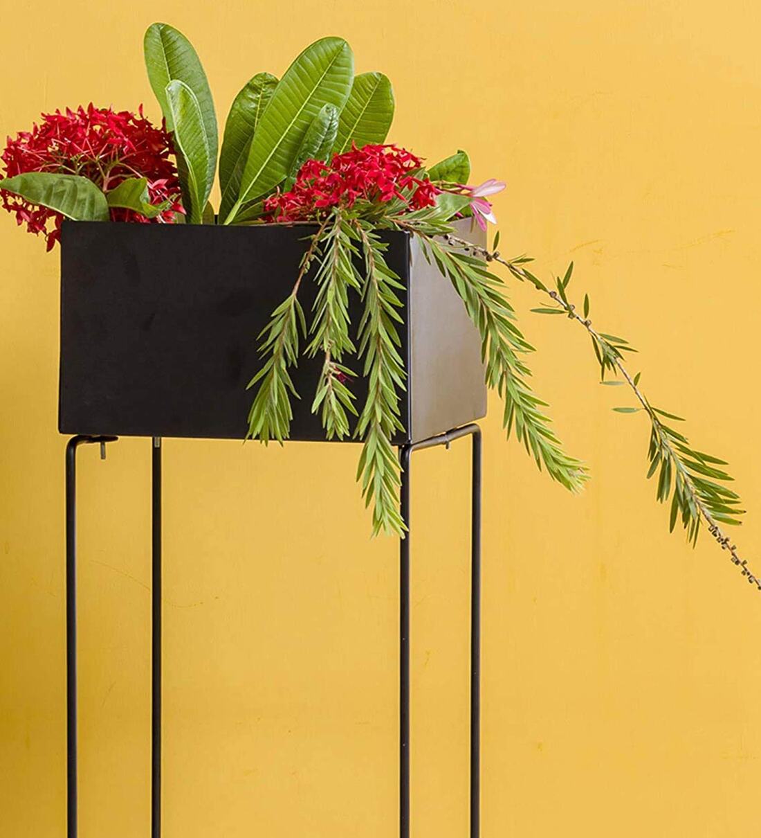 Buy Black Metal 1 Tier Planter Stand by Sharpex Online Planter Stands