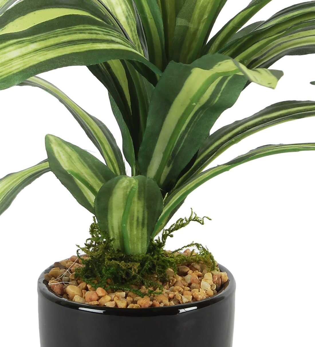 Buy Black Plastic Paradise of Greenery Bonsai Tree With Ceramic Pot by