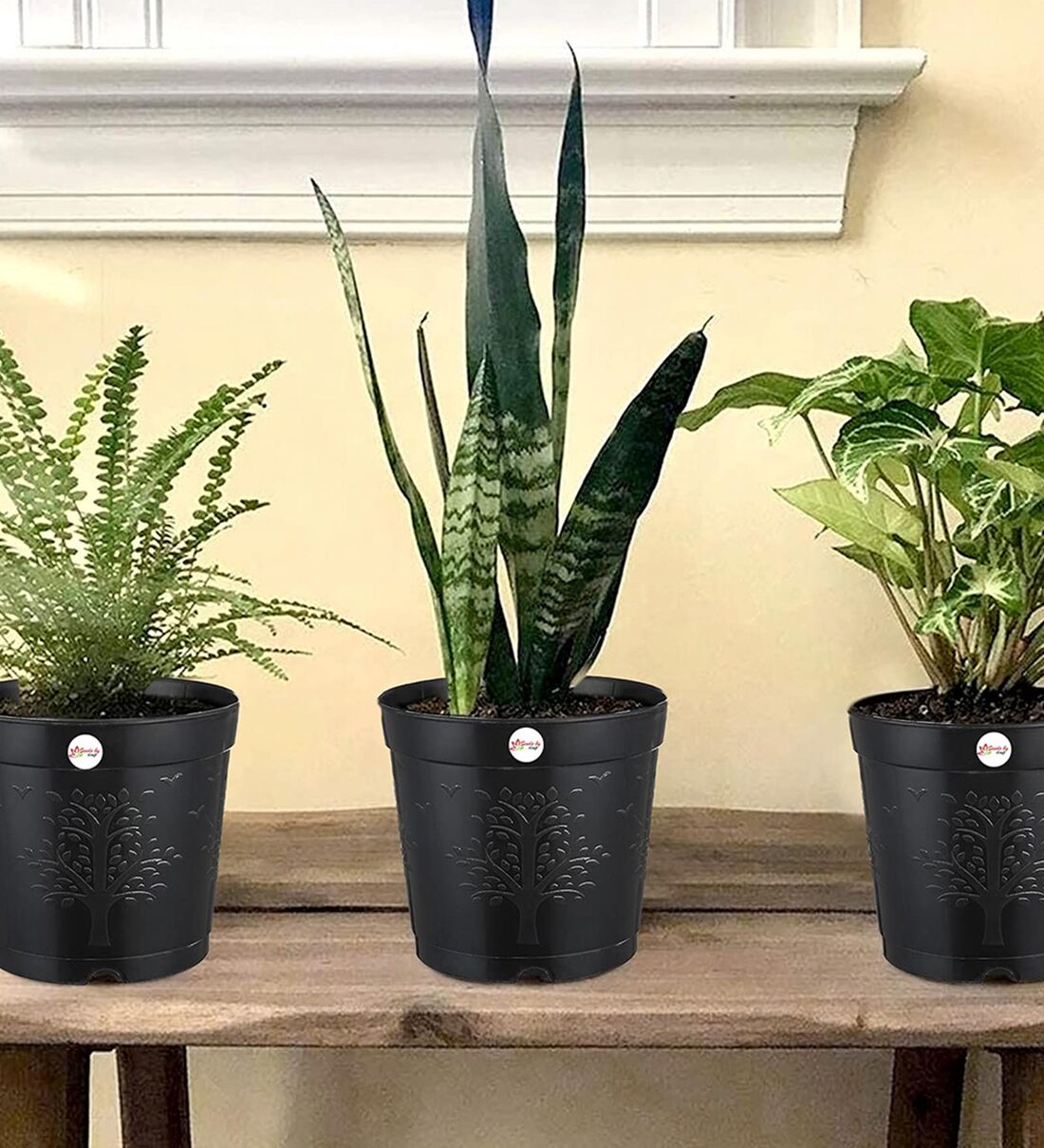 Buy Black Plastic Round Shape Planter Set Of (25) by Kraft Seeds Online