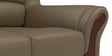 Blos Leatherette 2 Seater Sofas in Grey Colour