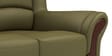 Blos Leatherette 2 Seater Sofas in Green Colour