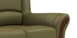 Blos Leatherette  3 Seater Sofa in Green Colour