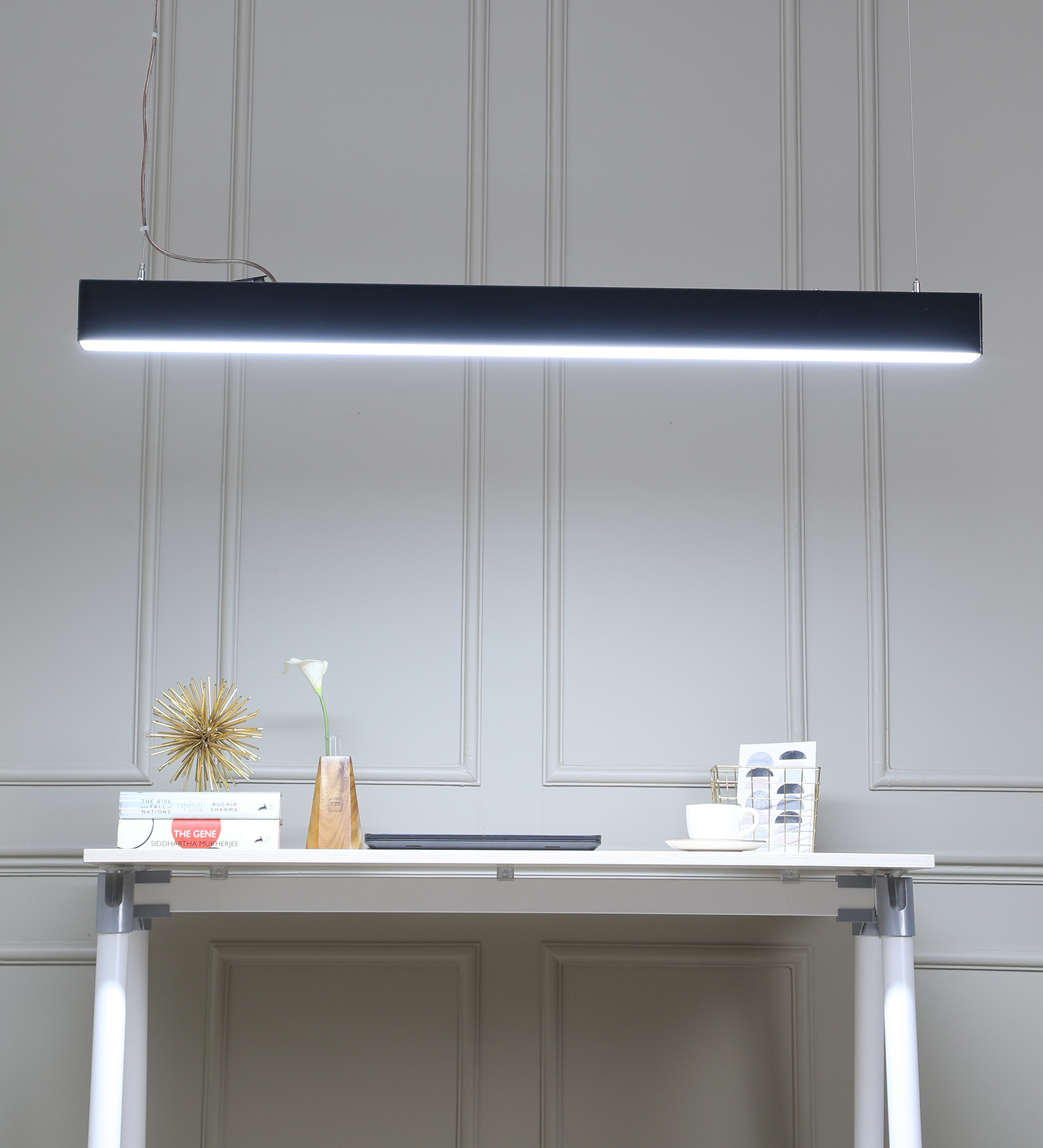 Wipro Lineos 30 Watt 4 Feet Linear suspended Black LED luminaire (Cool White)