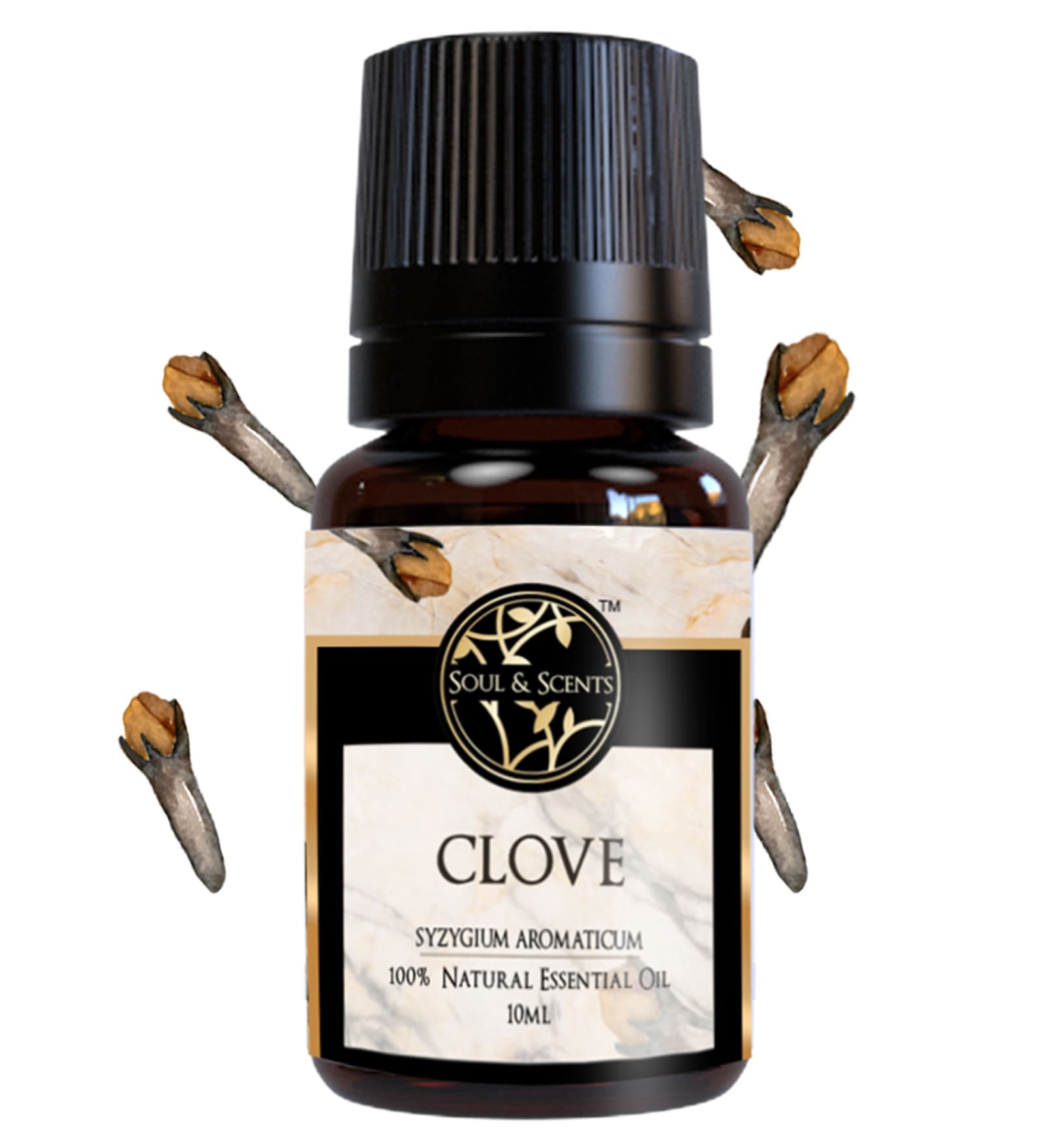 Buy Clove Essential Oil at 15 OFF by Soul & Scents Pepperfry