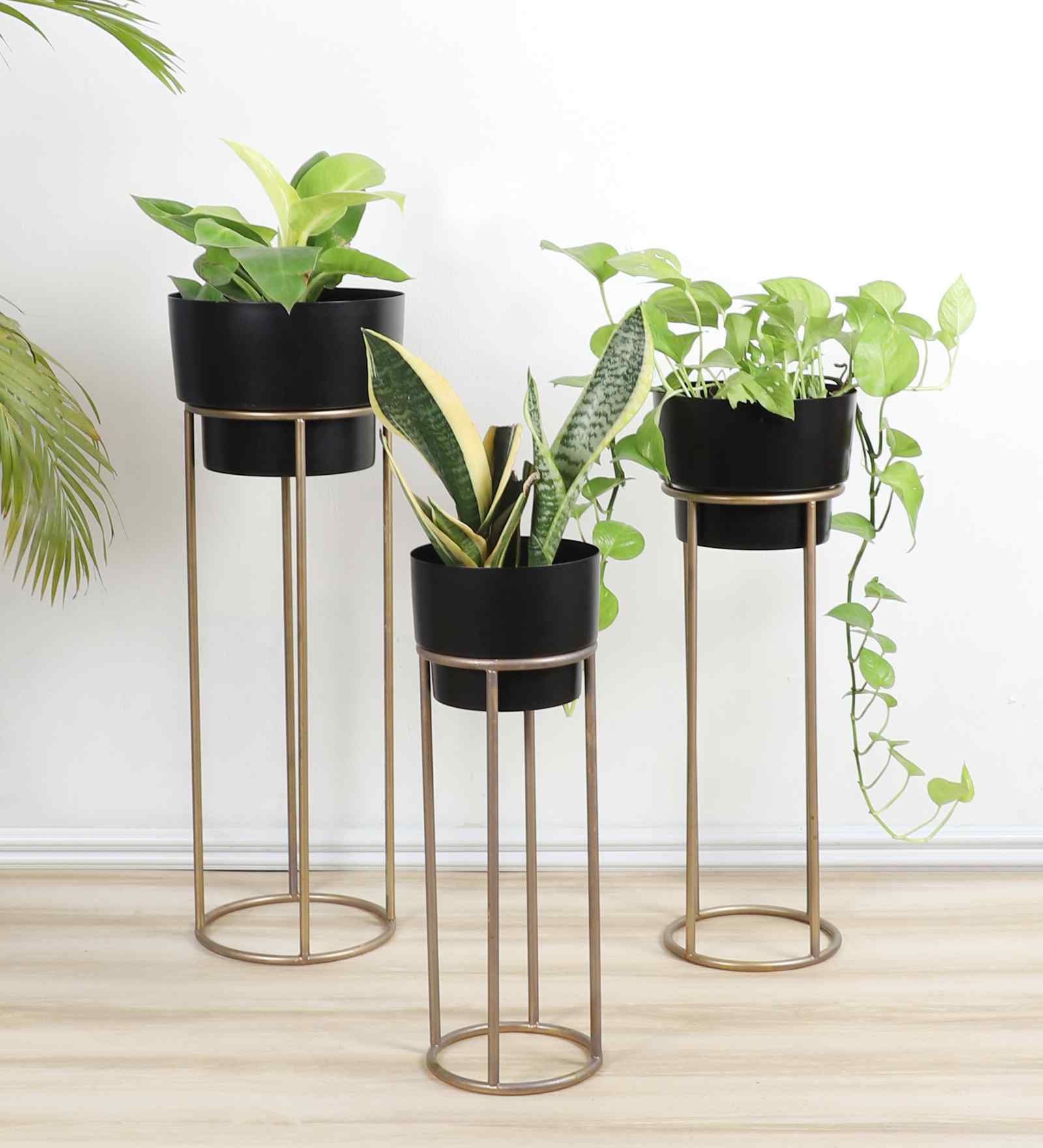 Black FLower Pot Planter Set of 3