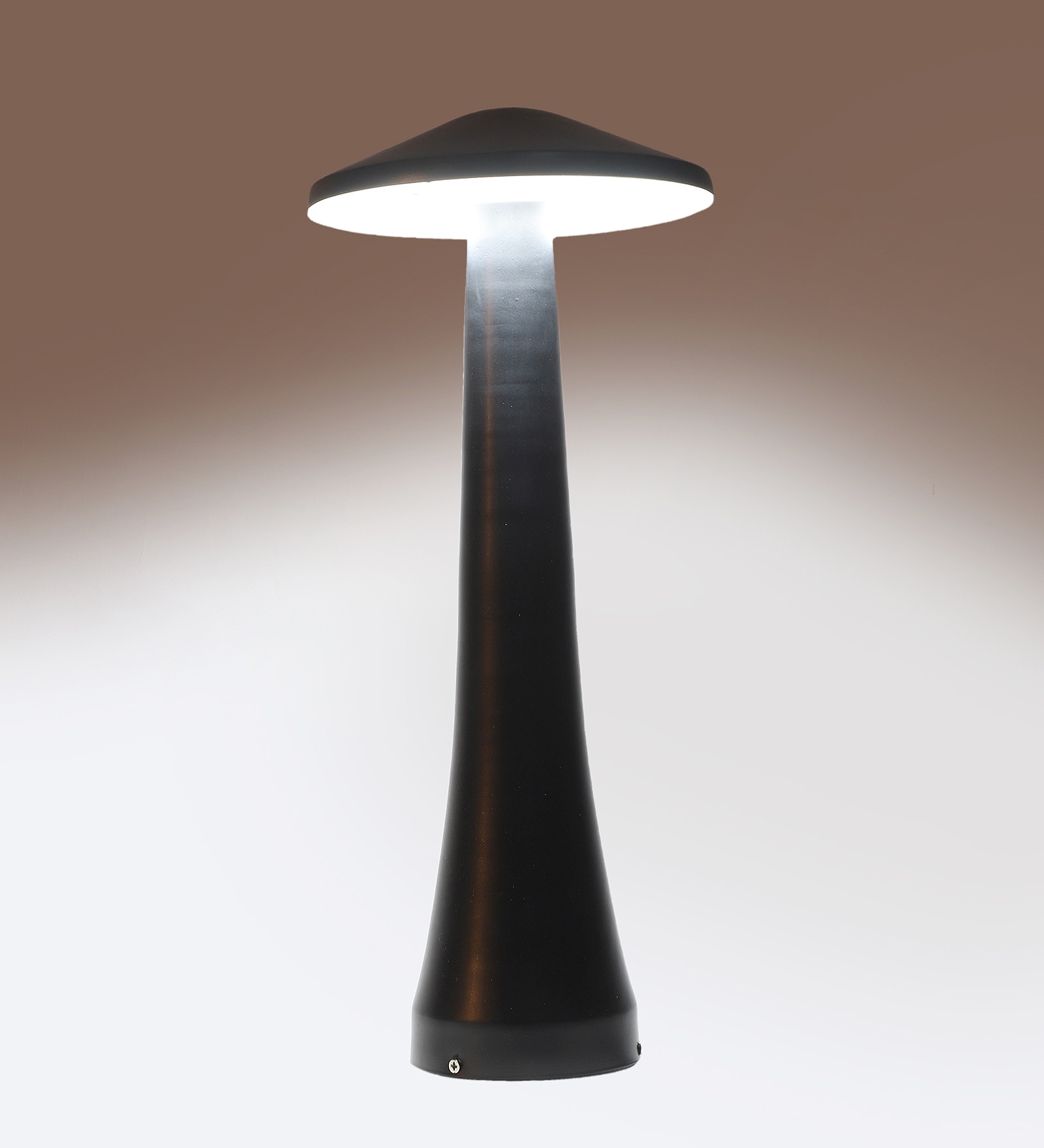 Black Iron 12 Watt LED Garden Light