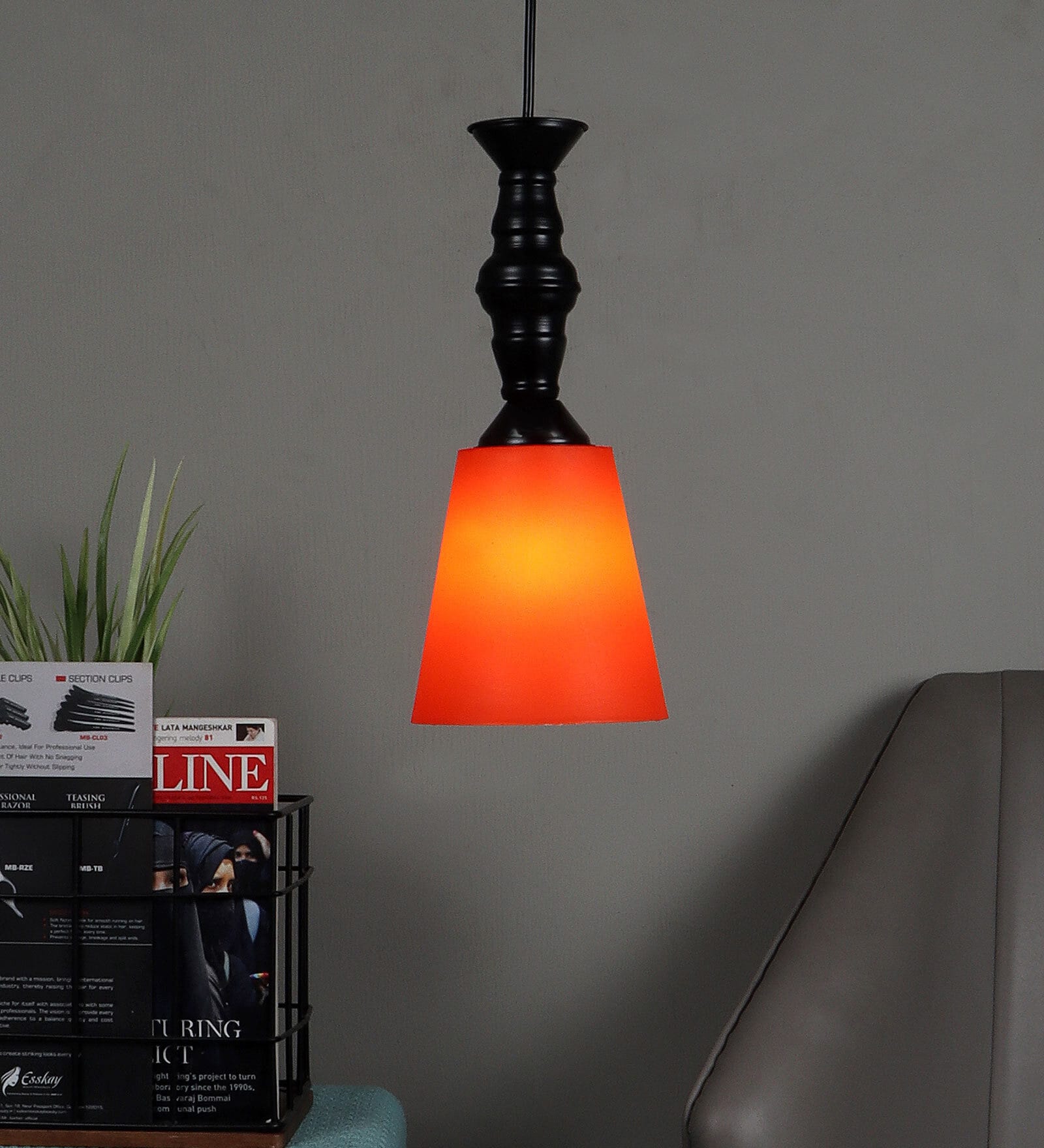 Ebaine Black Iron Hanging Light