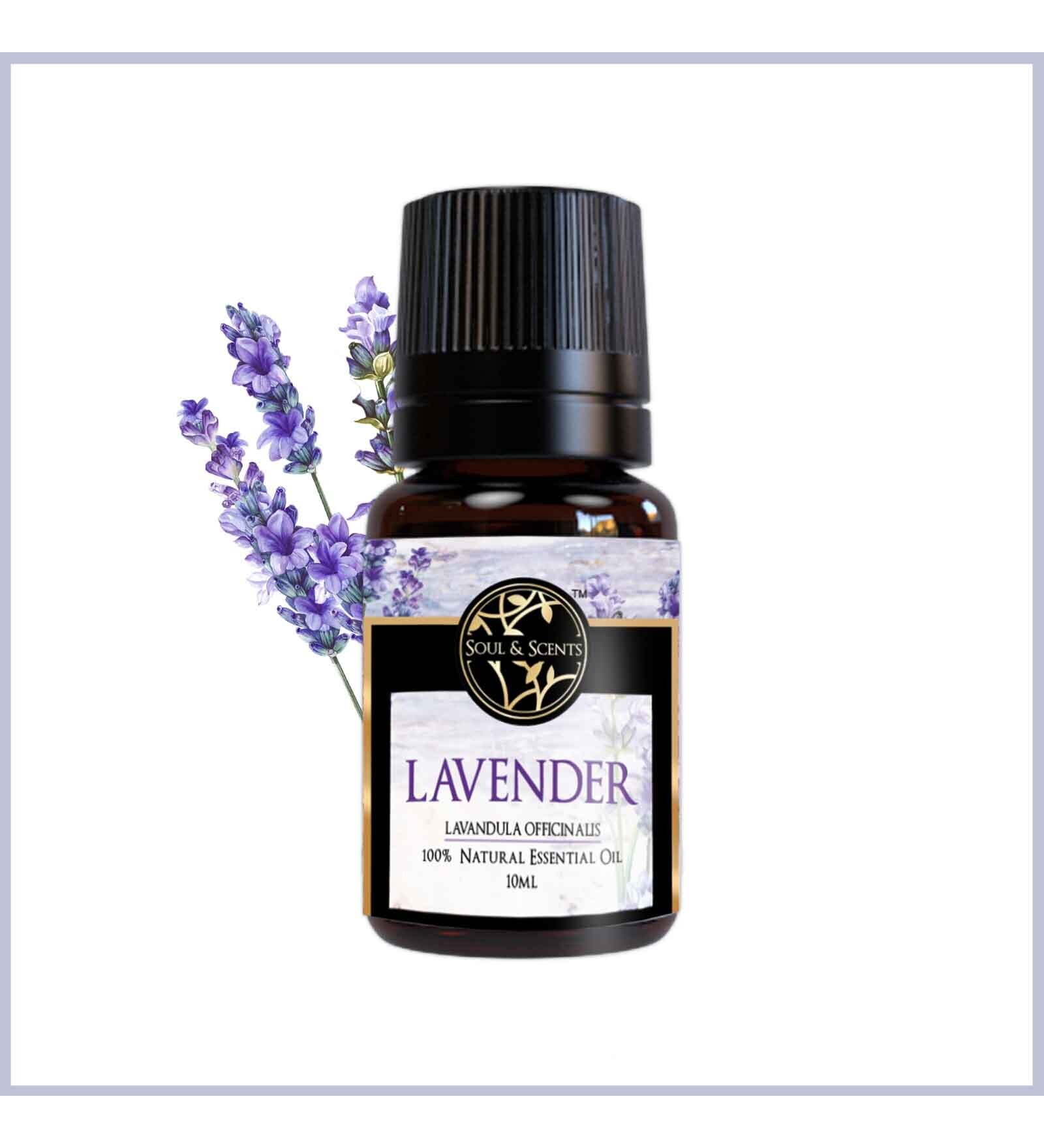 Lavender   Essential Oil