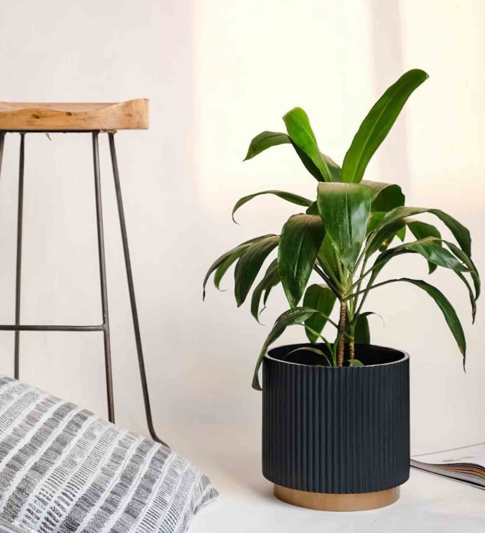 Buy Black Medium Midori Planter With Base at 8 OFF by Ripples Home