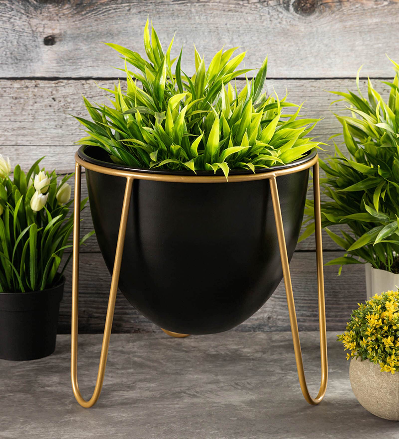 Black Metal Desk Planter