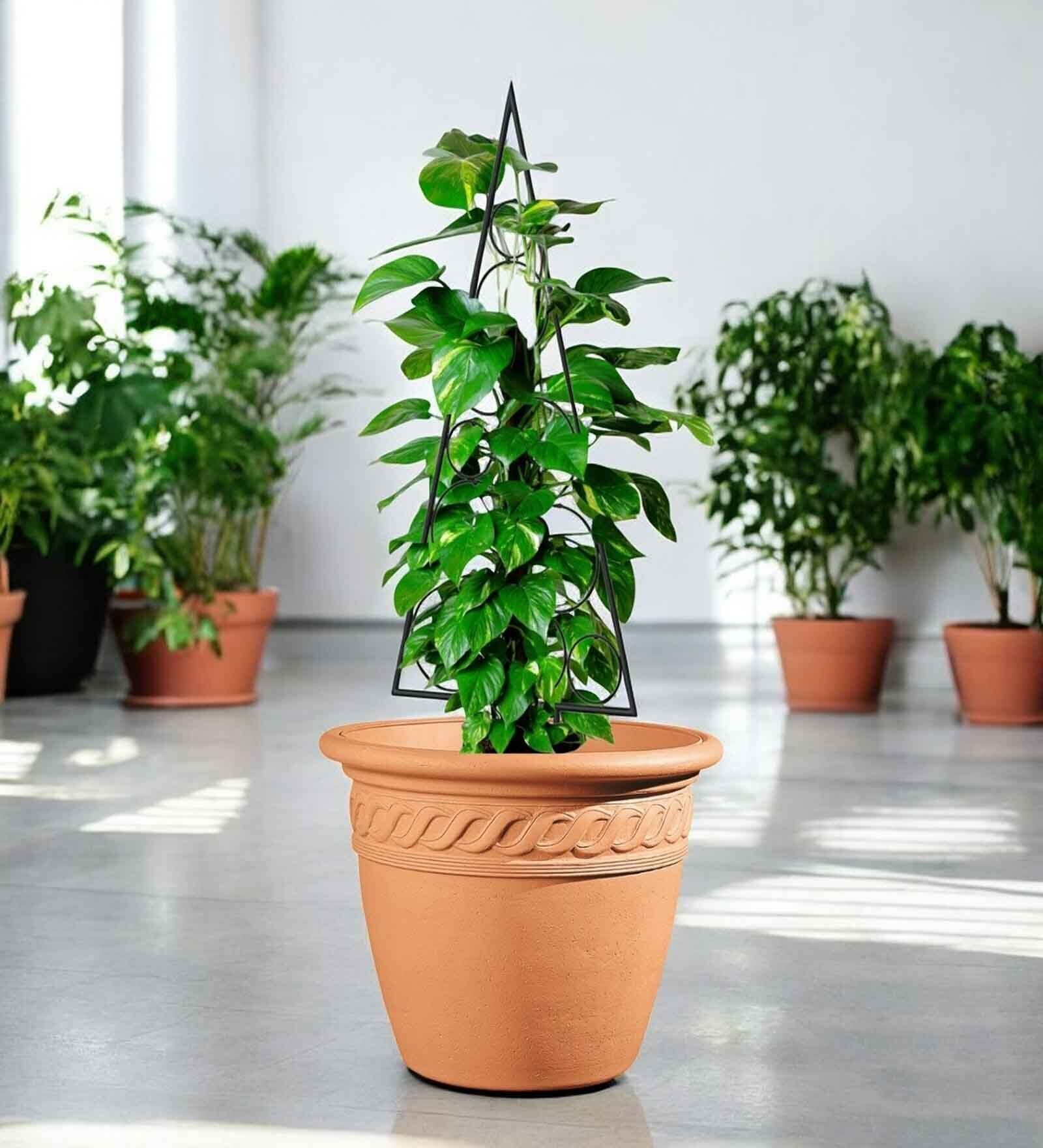 Black Circul Planter Stand For Climbing Plants Black Circul Planter Stand For Climbing Plants