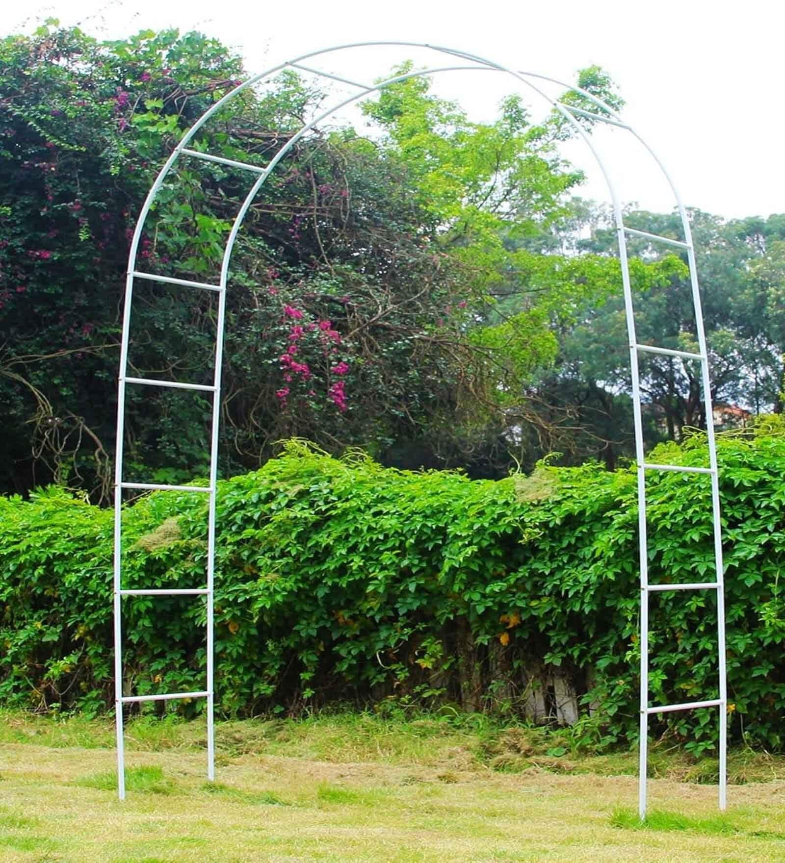 White Plant Stand For Climbing Plants White Plant Stand For Climbing Plants