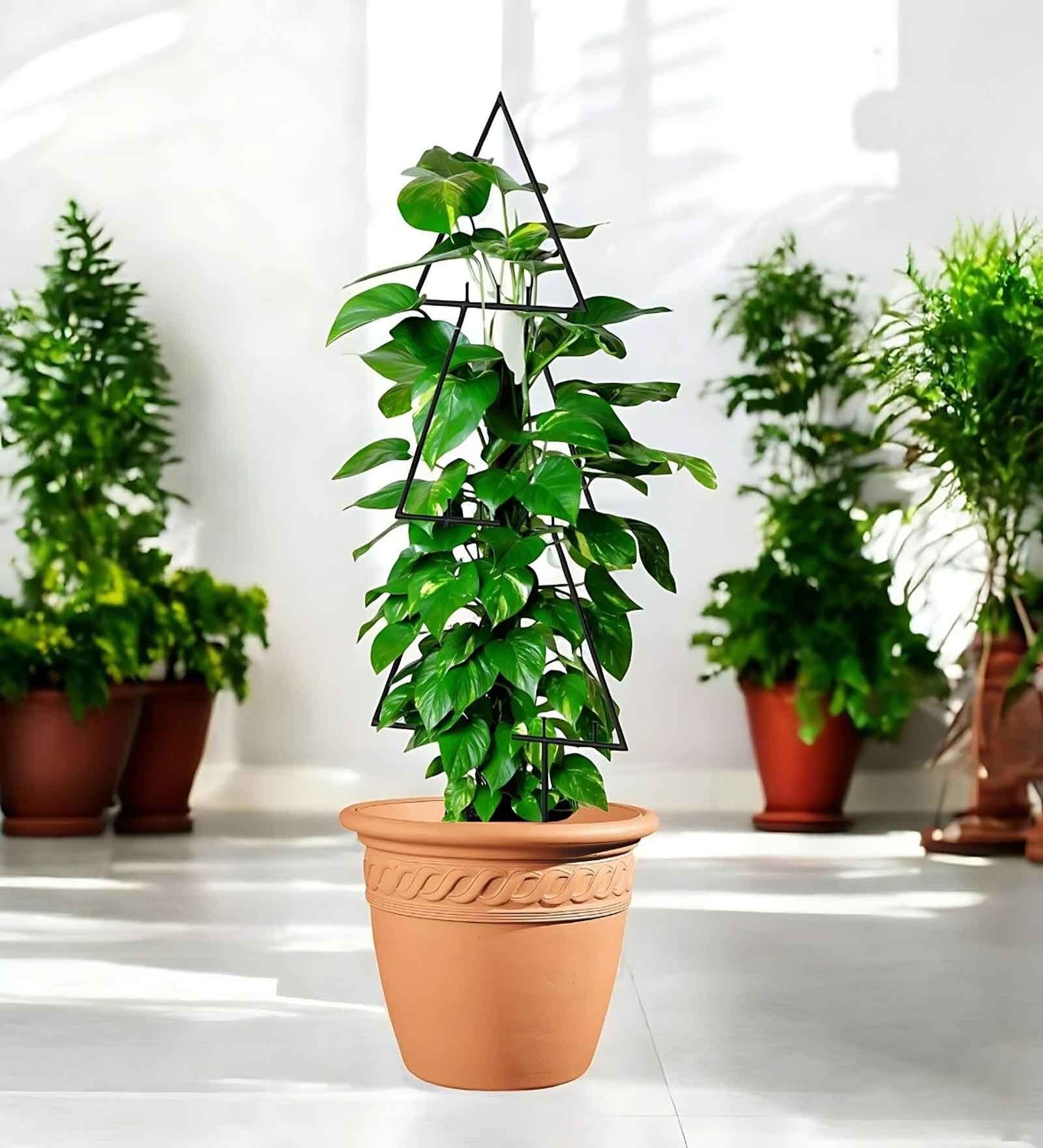 Black Triangle Planter Stand For Climbing Plants Black Triangle Planter Stand For Climbing Plants
