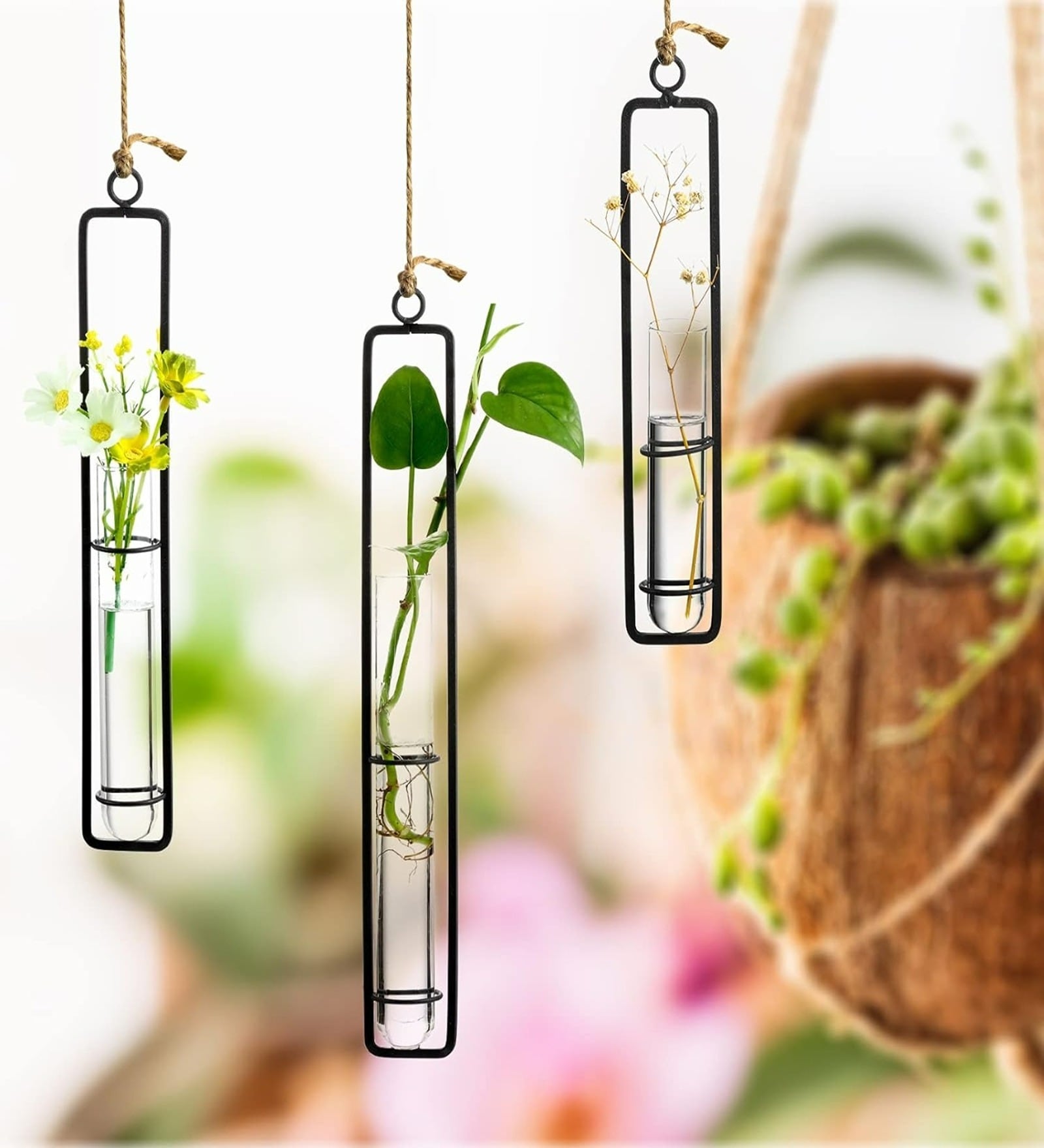 Black Test Tube Hanging Planter