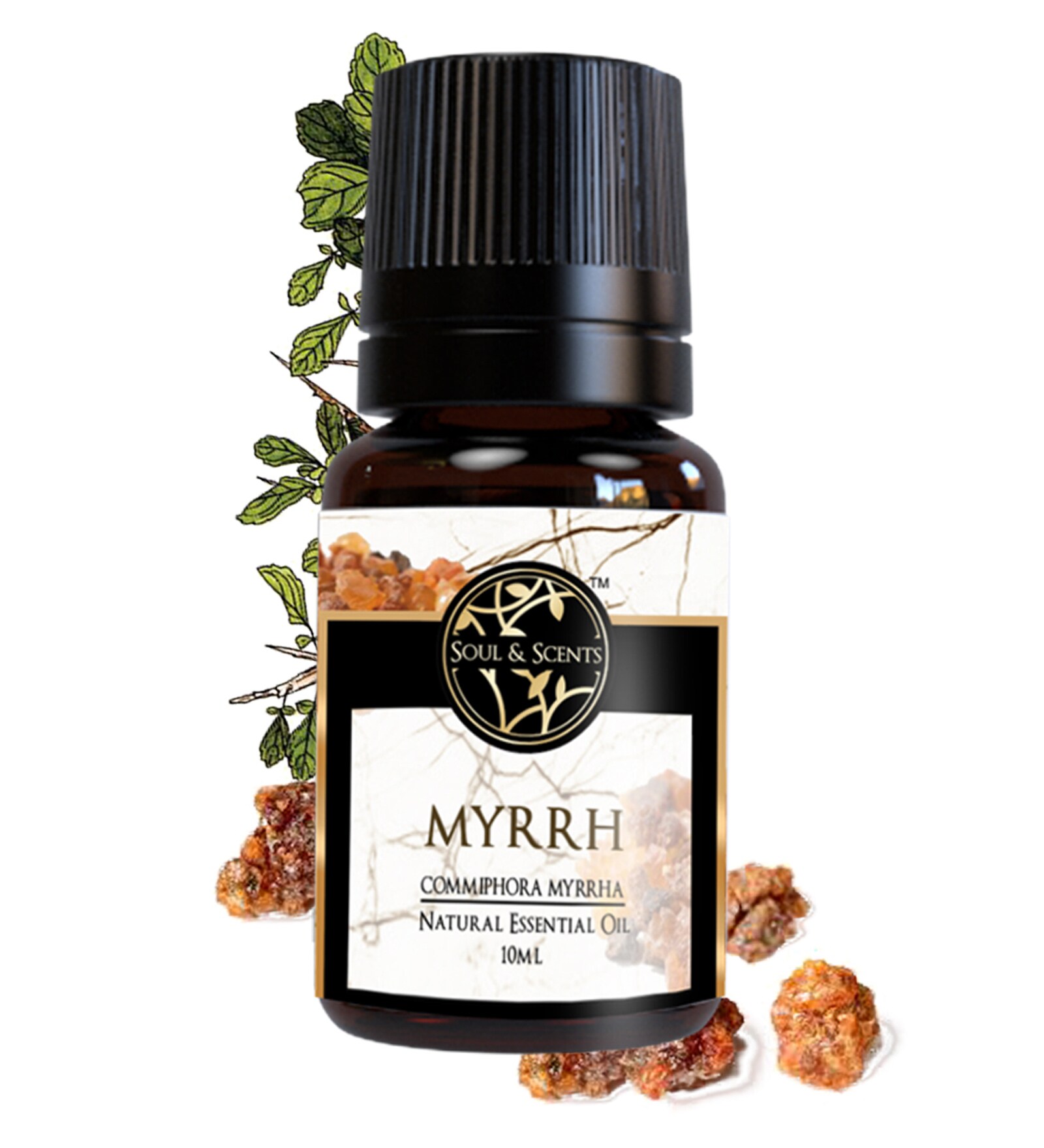 Myrrh   Essential Oil