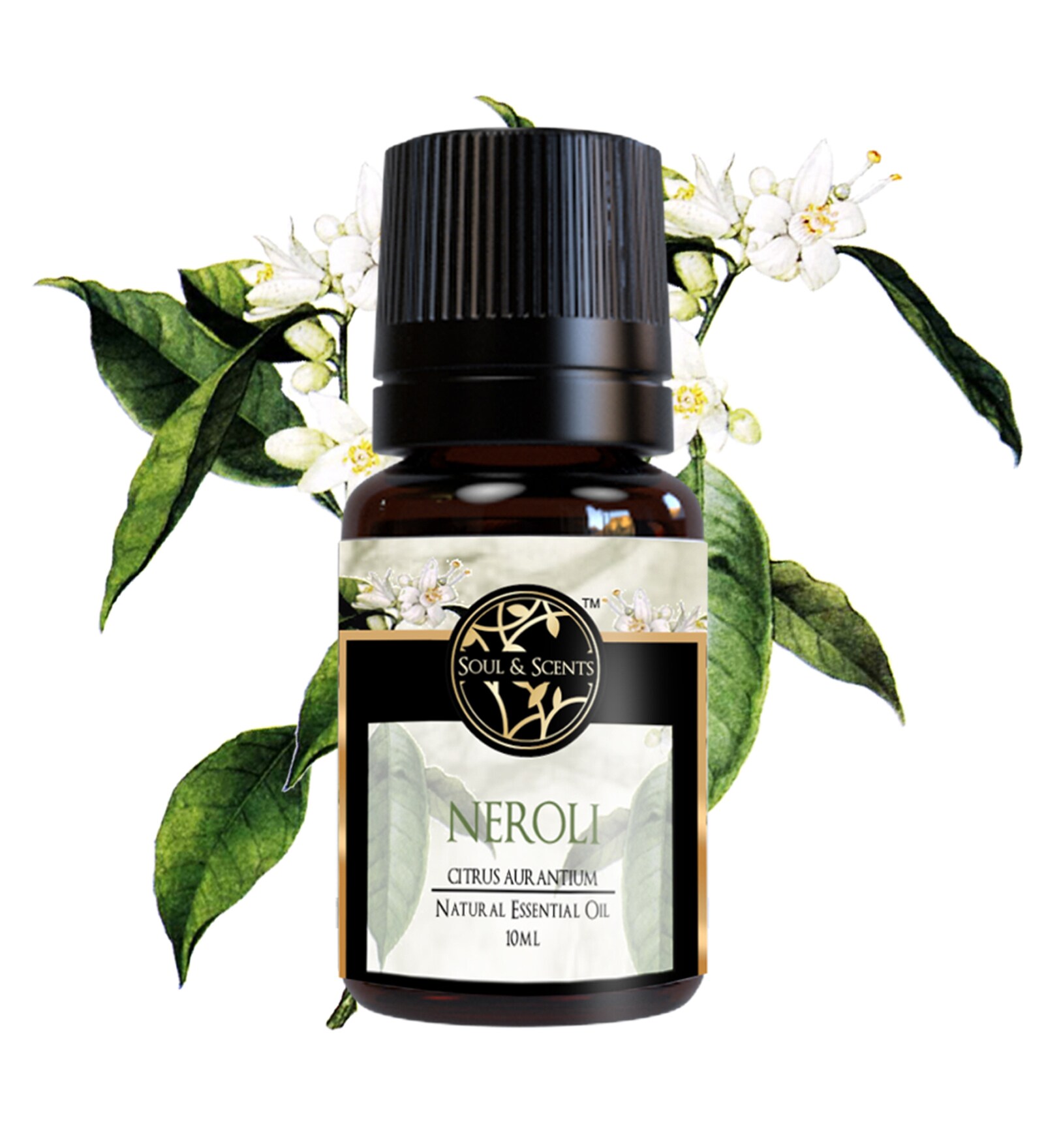 Neroli   Essential Oil