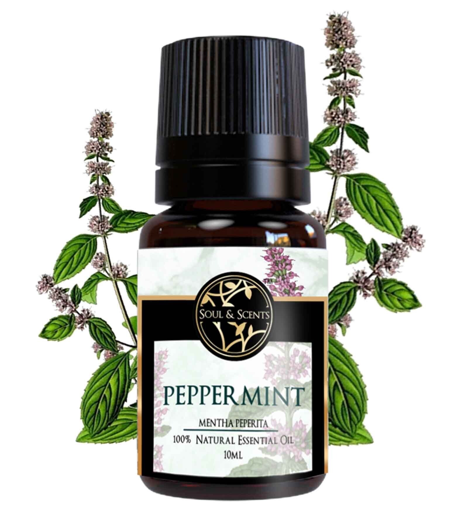 Buy Peppermint Essential Oil at 15 OFF by Soul & Scents Pepperfry