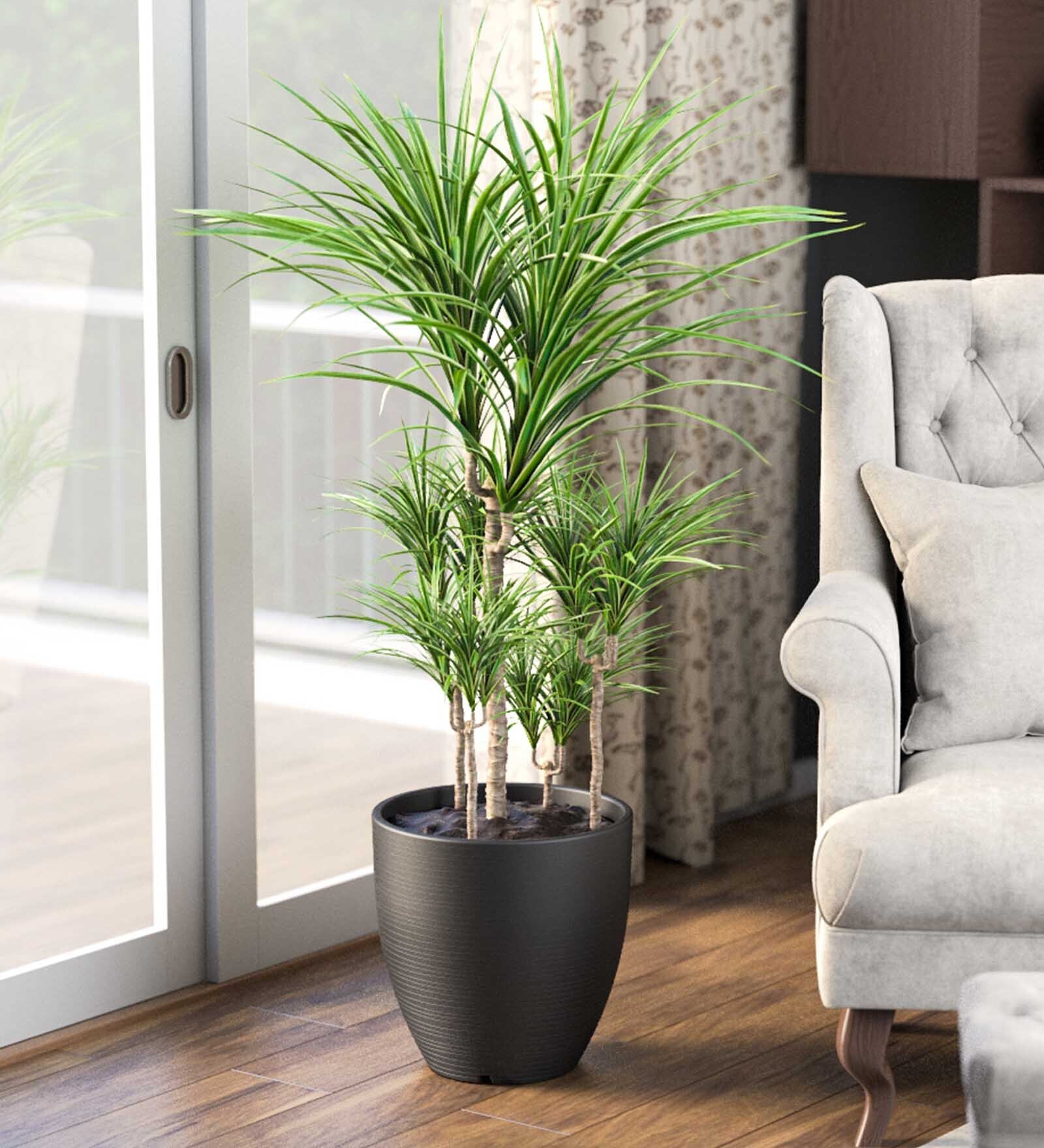 Iraka Medium Black Polymer Floor Planter