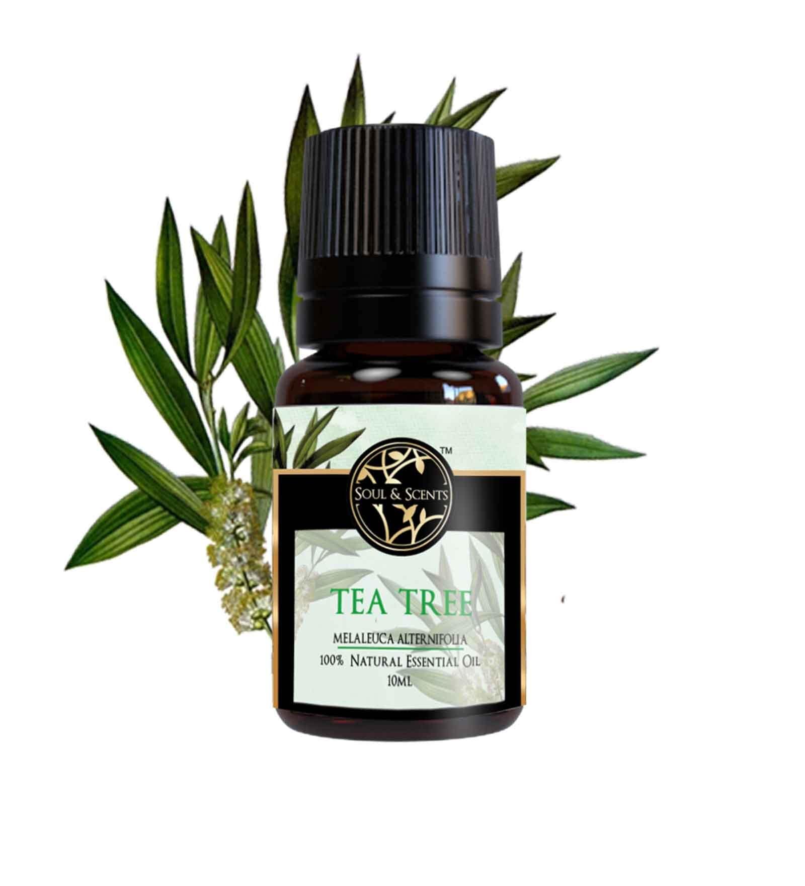Tea Tree    Essential Oil