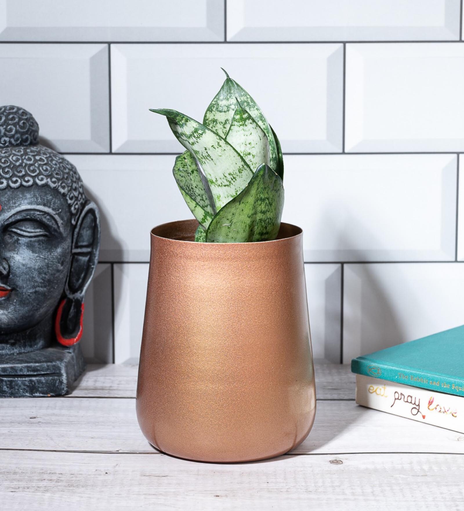 Blossom Copper Metal Desk Pot