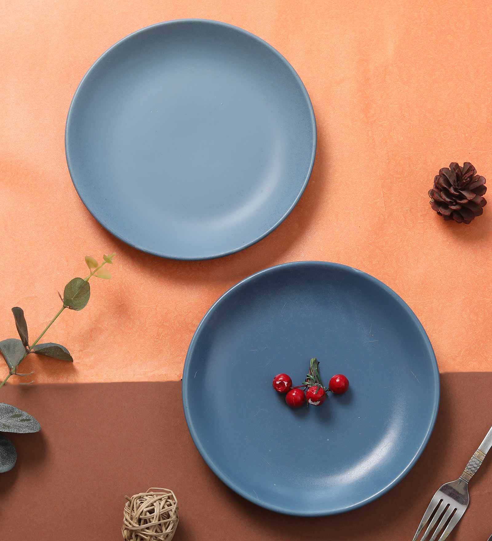 buy-dane-10-5-inch-blue-set-of-2-dinner-plate-by-lupaava-online