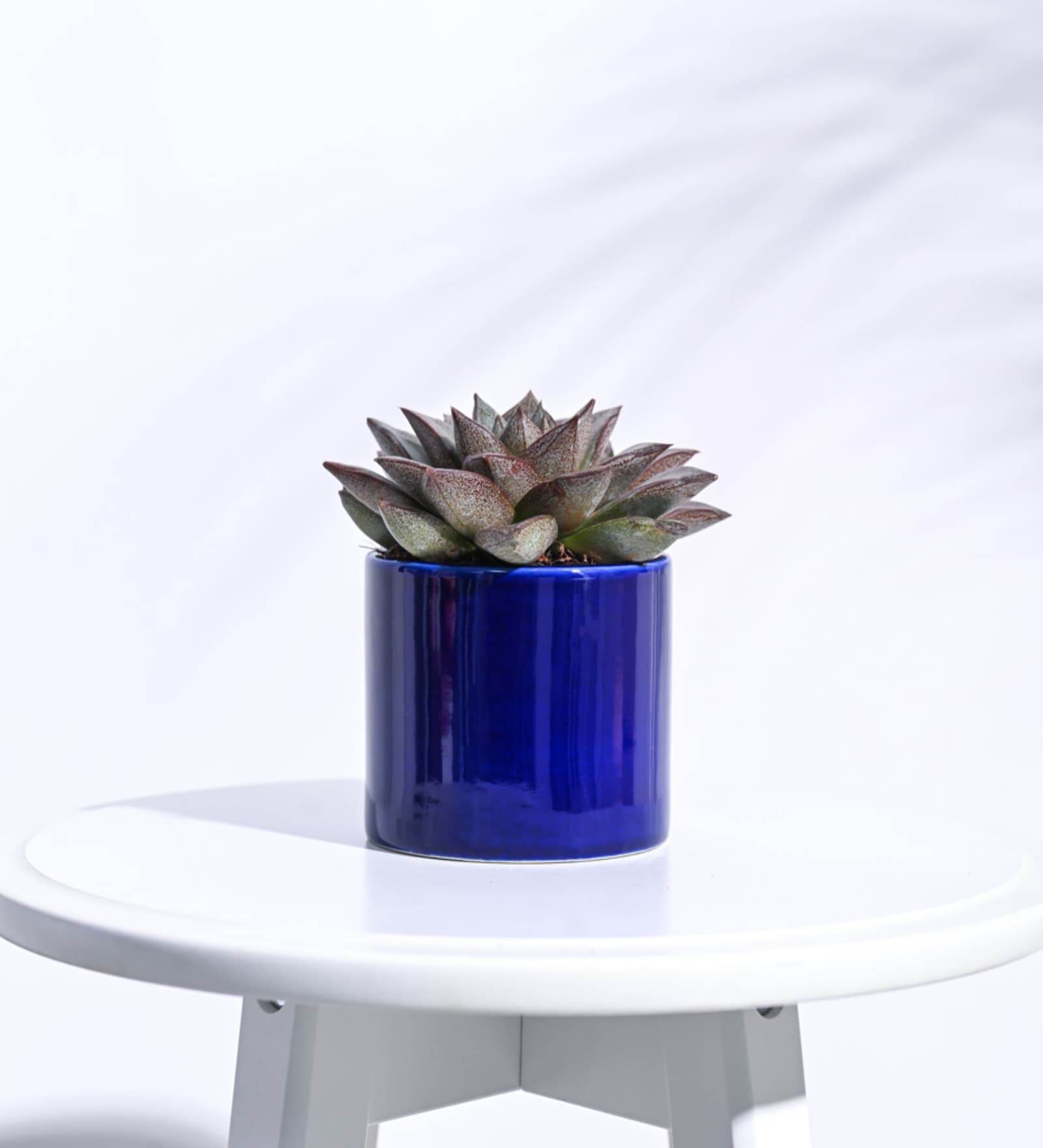 Blue Ceramic Pipe Shape Desk Pot Desk Pot