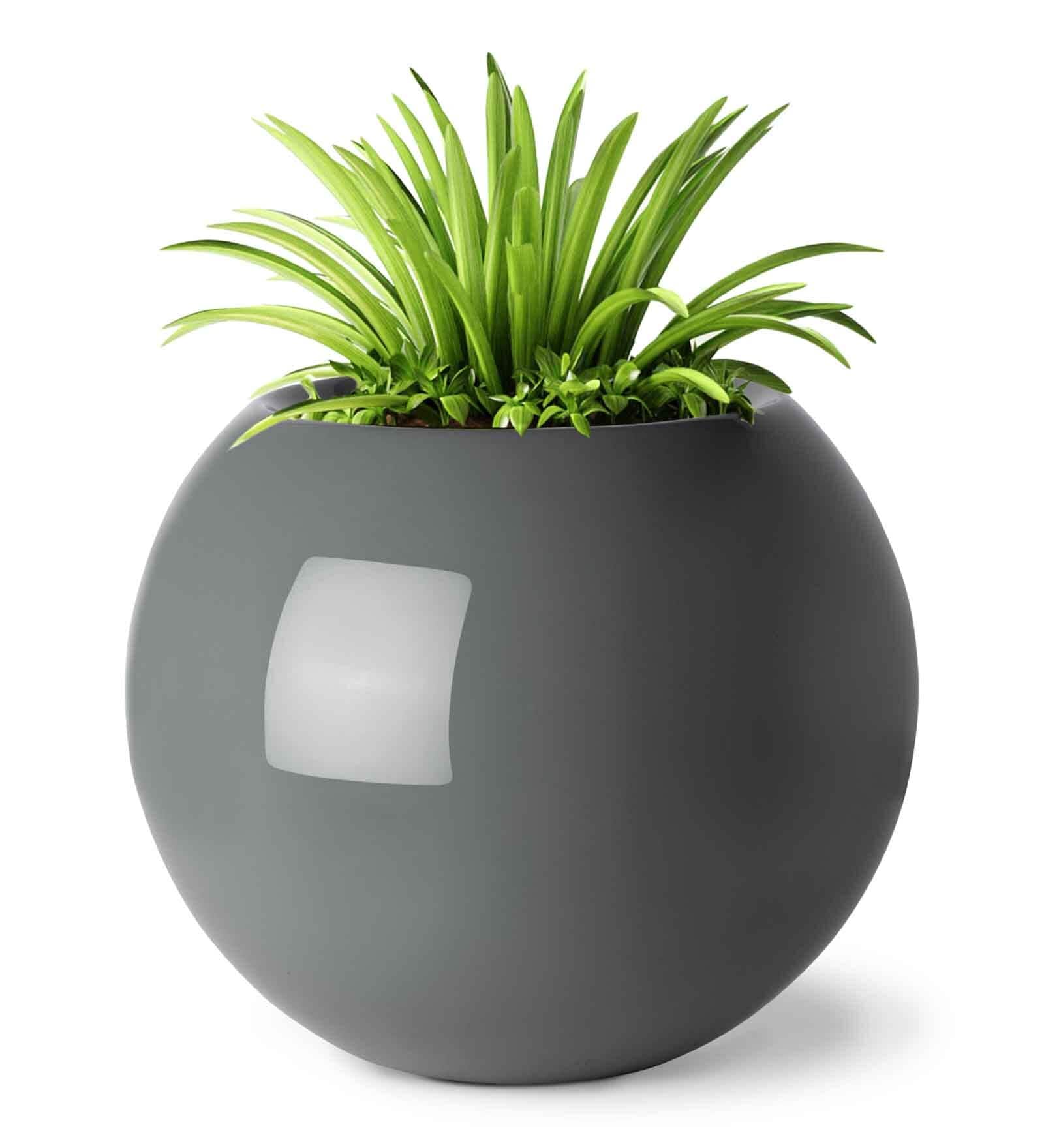 Blue Fiberglass Curvey Shape planter set of 1 