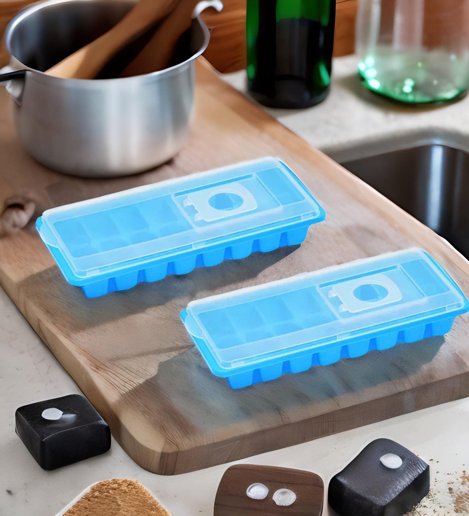 Blue Polypropylene (Set Of 2) Ice Cube Tray