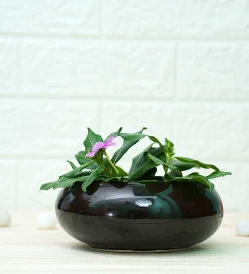 Black Ceramic Desk Pot