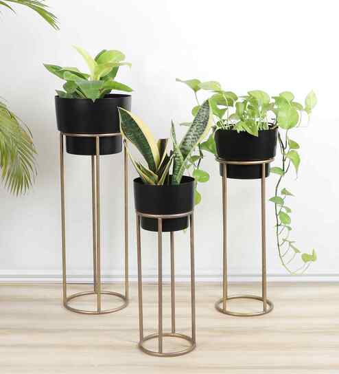 Black FLower Pot Planter Set of 3