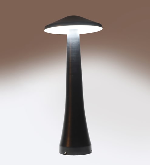 Black Iron 12 Watt LED Garden Light