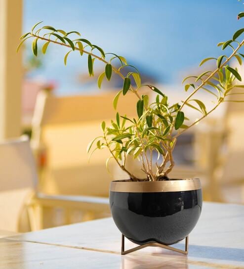 Black Metal Elis Desk Pot Desk Pot