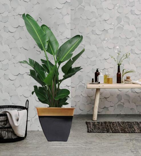 Midland (Set of 2) Black Metal Floor Planter
