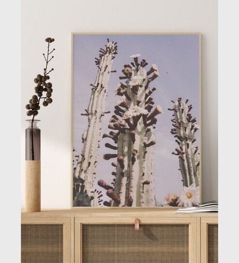 Blooming Cactus desert plant