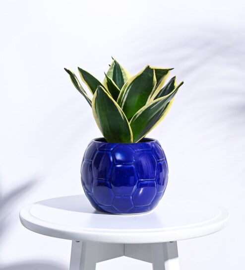 Blue Ceramic Football Shape Desk Pot Desk Pot