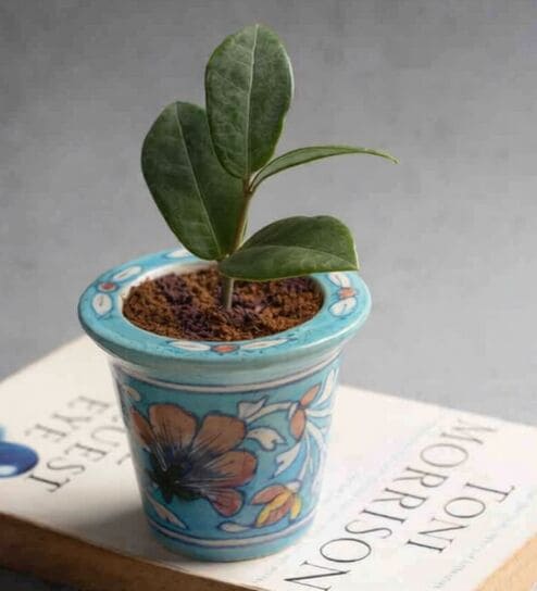 Blue Clay Blue Pottery Planter