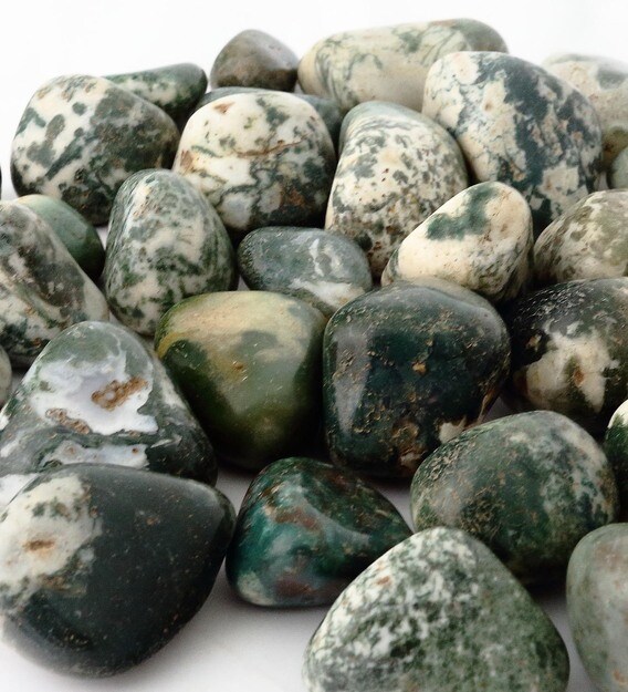 Buy White 2 Kgs Decorative Natural Pebbles By Stone Beyond Online Decorative Pebbles Decorative Pebbles Home Decor Pepperfry Product